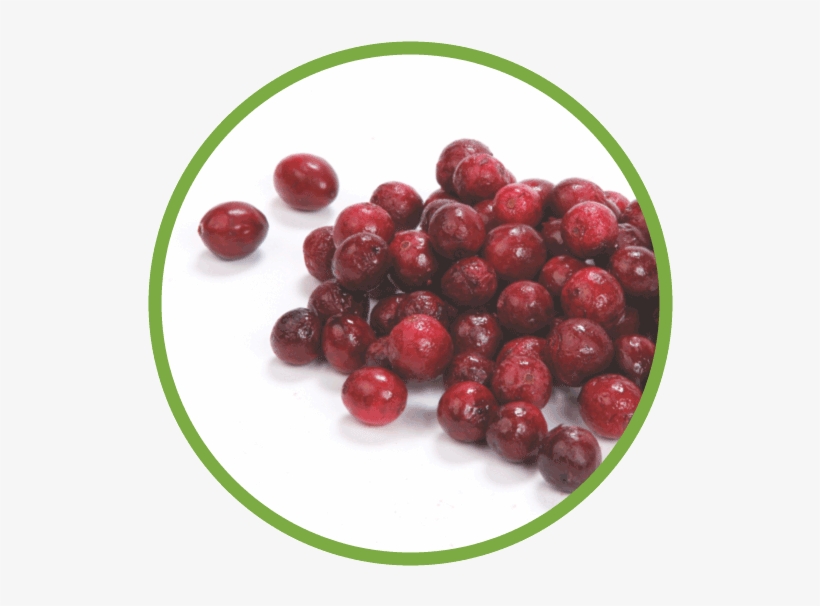 Cranberries A Native Fruit - Red Circle Fruit, transparent png download