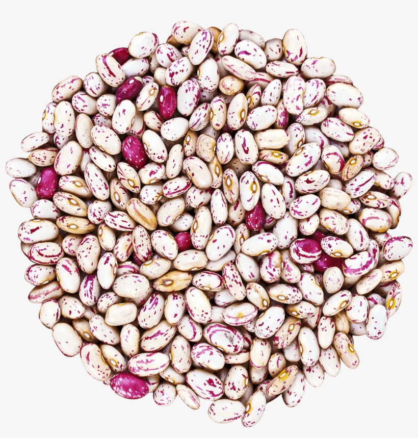 Cranberry Beans Without Bag - Food To Live Cranberry Beans (borlotti) (10 Pounds), transparent png download