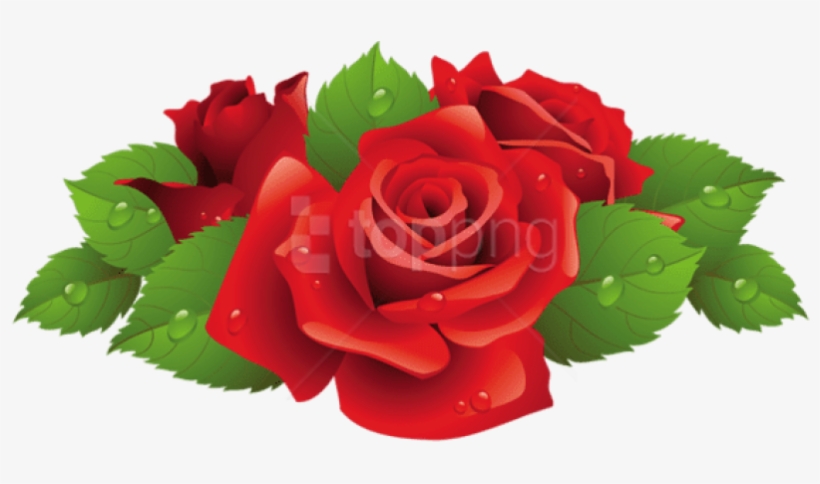 0, - Roses Vector, transparent png download