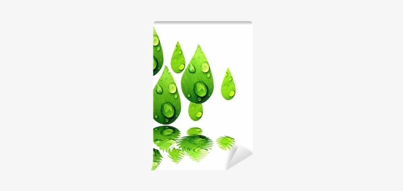 Gotas De Hojas Verdes Reflejadas En El Agua Wall Mural - Illustration, transparent png download