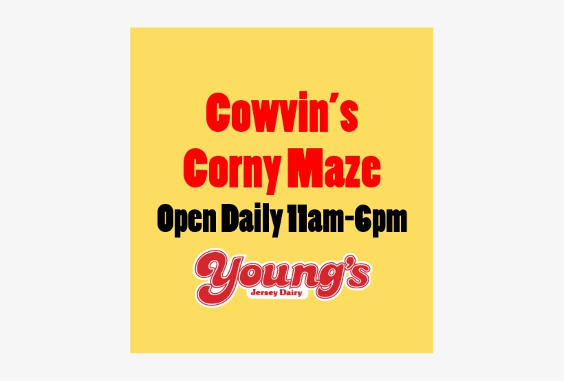 Corny Maze 1 - Youngs Dairy, transparent png download