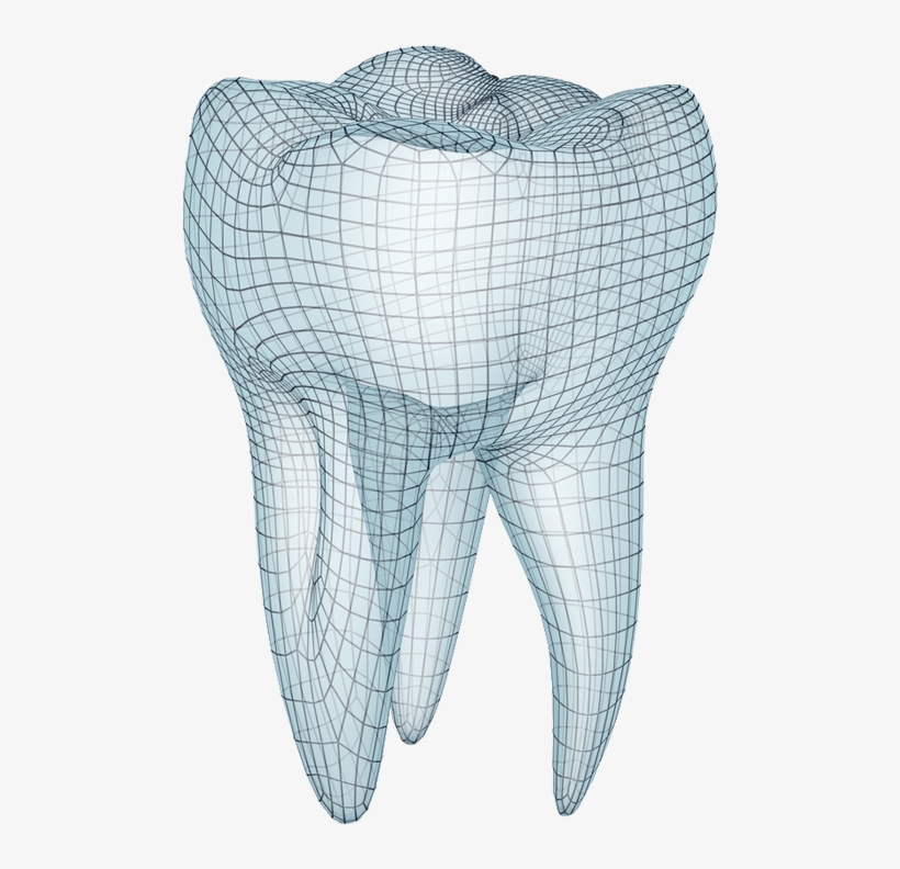 Pharmaceutical And Dental Wax - Molar Teeth, transparent png download
