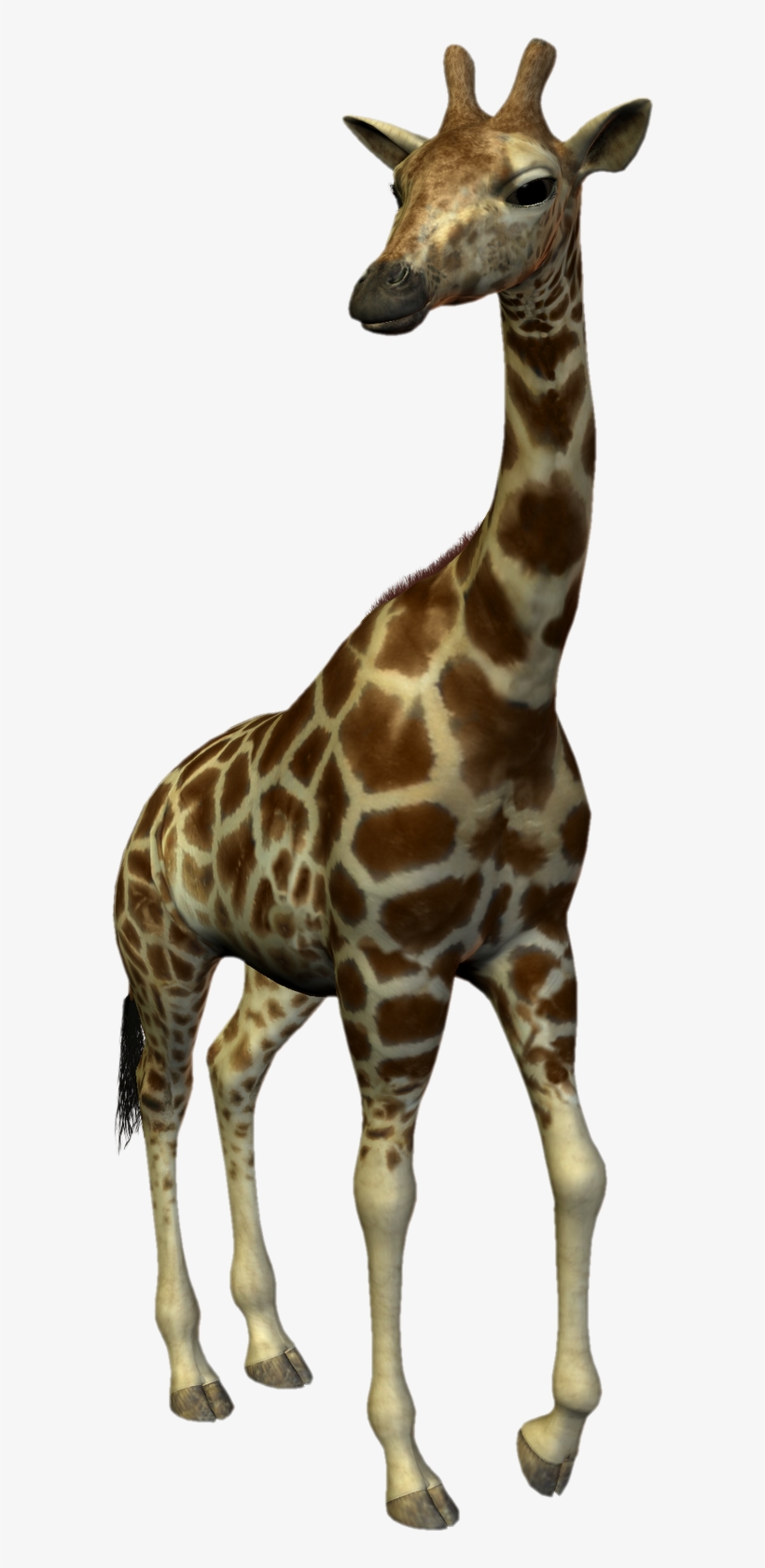 Animales - Giraffe, transparent png download
