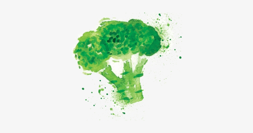 Translation Of Information Obtained From Plants And - Information, transparent png download