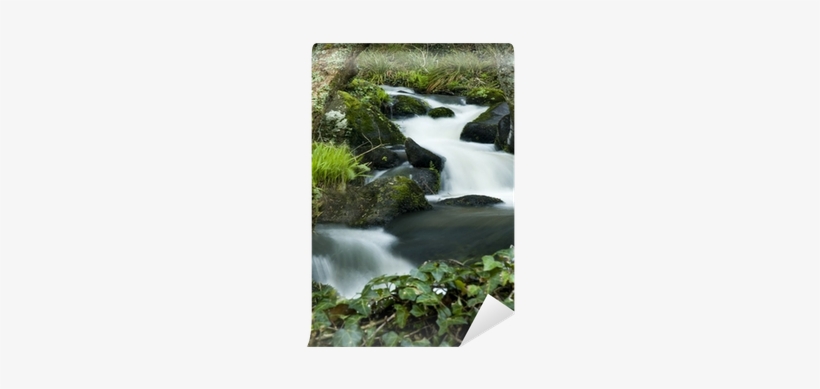 Tributary, transparent png download