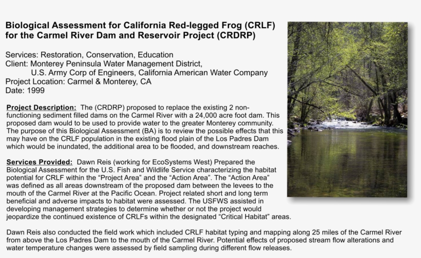 The Proposed To Replace The Existing 2 Non- Functioning, transparent png download