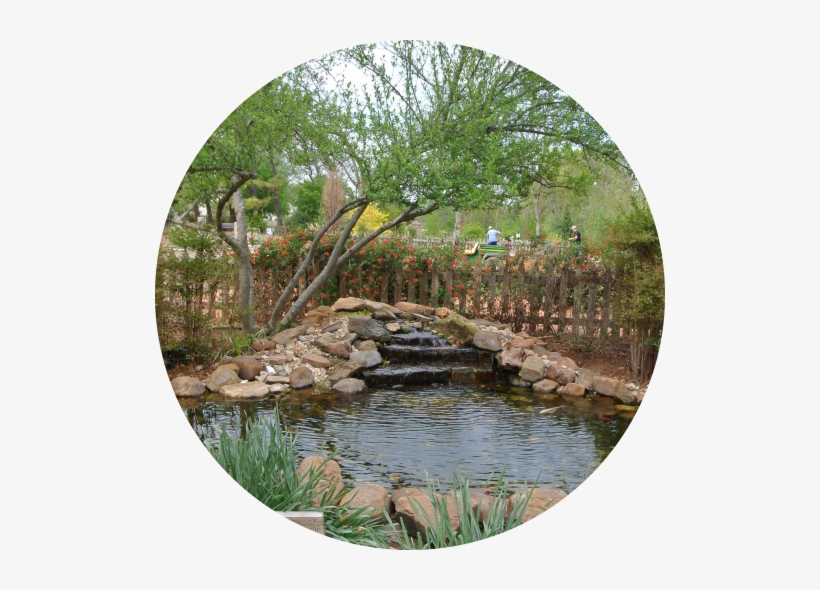 Water Garden - The Botanic Garden At Oklahoma State University, transparent png download