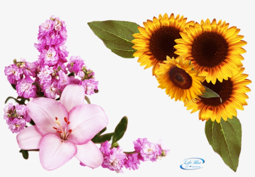 Floral Corner Png, transparent png download
