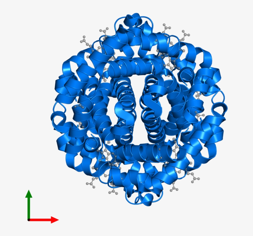 Protein Data Bank, transparent png download