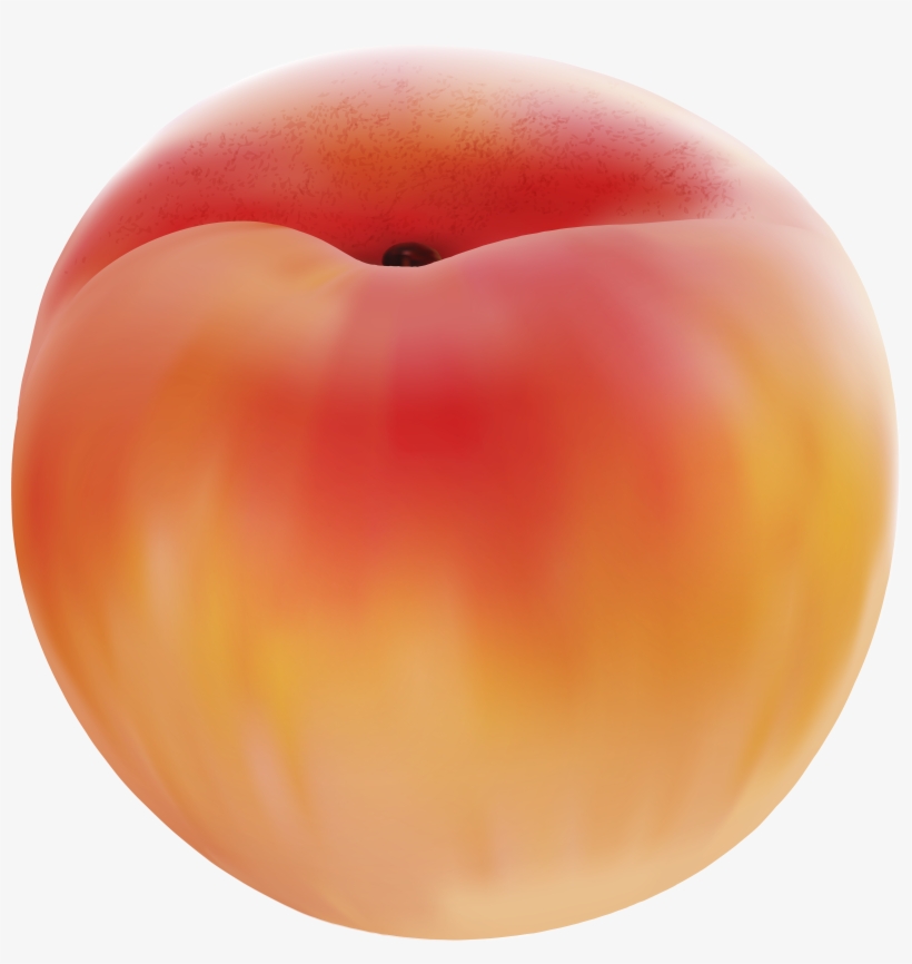 Peach Clipart Friuts - Clip Art, transparent png download