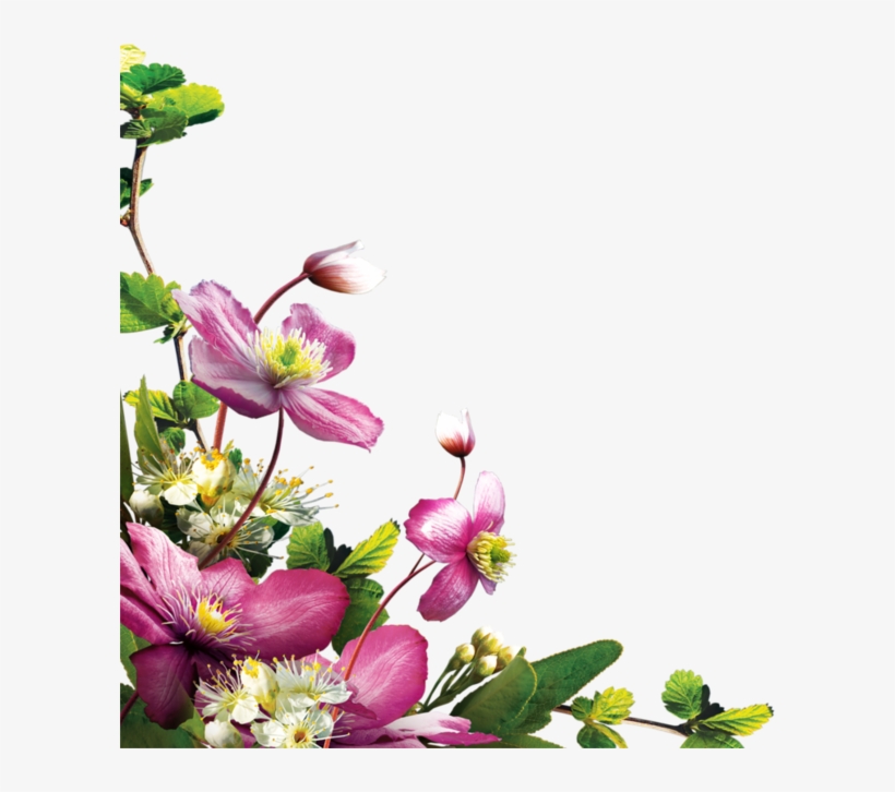 Flower Corner Png Download - Virág Png, transparent png download