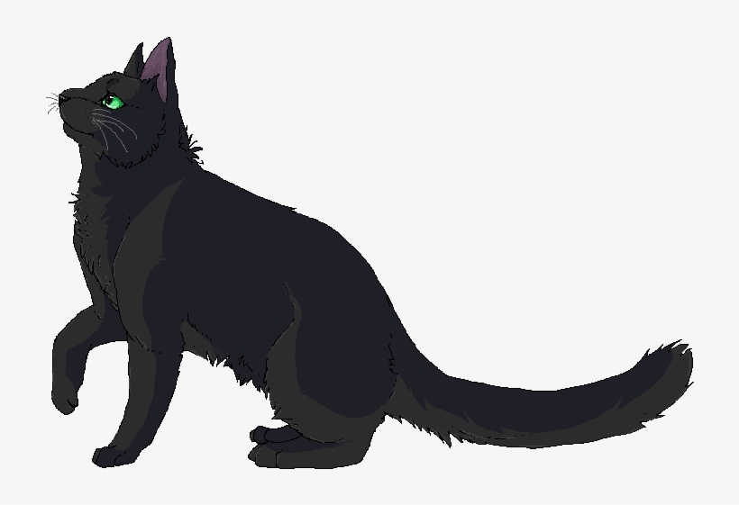 Hollyleaf Boi Boi - Asian, transparent png download