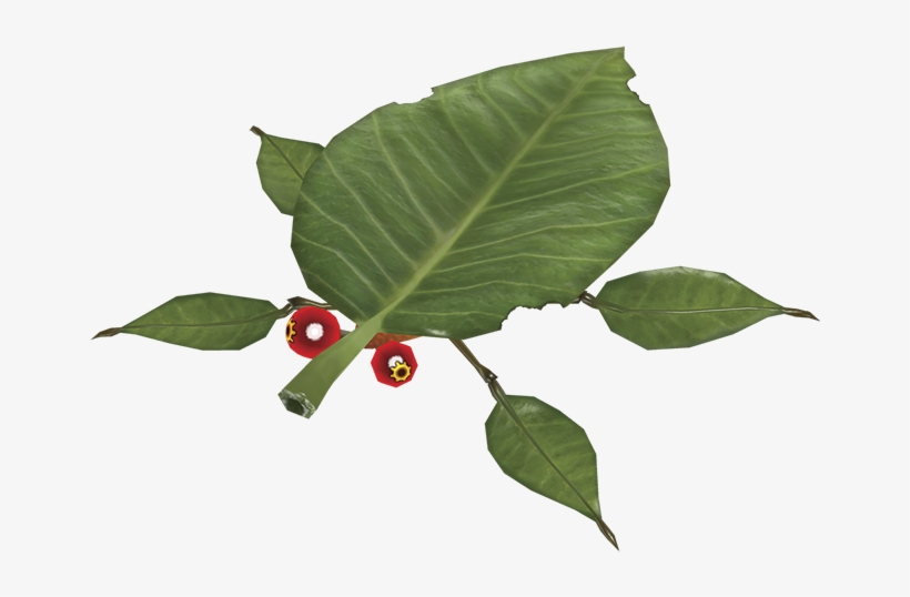 Skitter Leaf - Pikmin Leaf, transparent png download