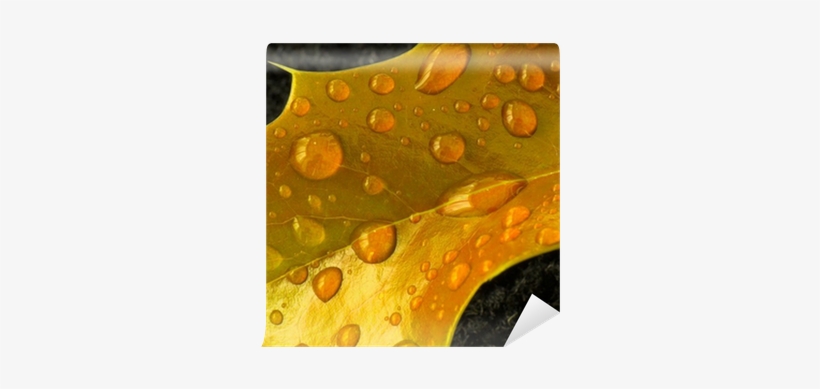 Drop, transparent png download