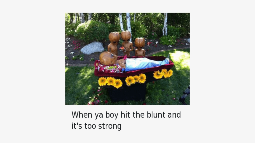 Blunts, Homie, And Weed - You Take Your First Dab, transparent png download