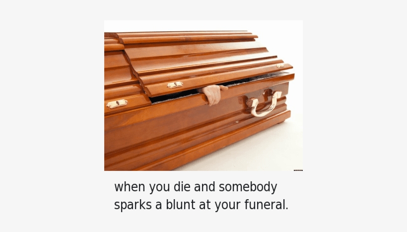 Blunts, Weed, And Sparkly - Talking Shit About Shrek Ii, transparent png download