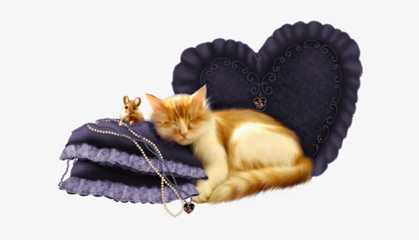 Cat Sleeping - Cat, transparent png download