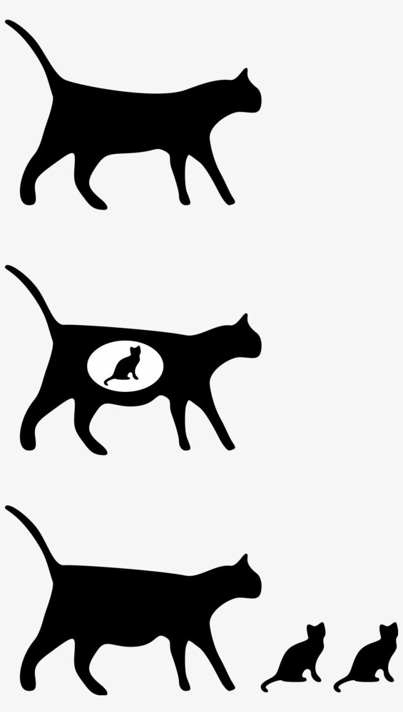 Free Stock Photo, transparent png download