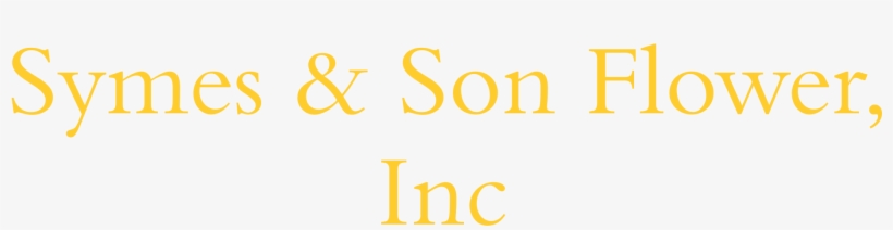 Schwarzkopf Stiftung, transparent png download