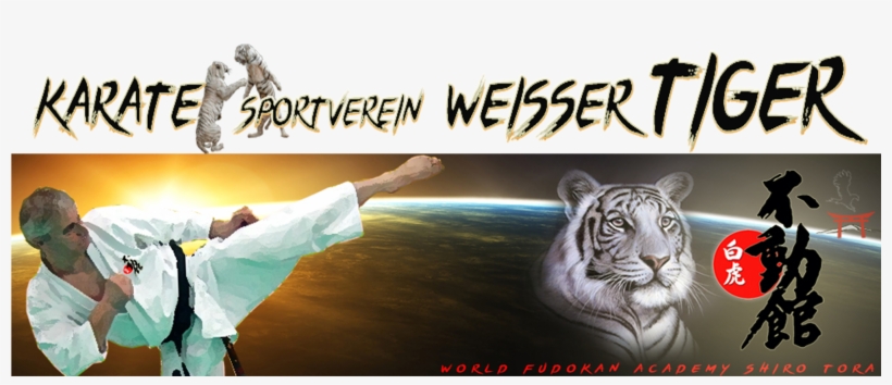 Wfast Kopie - White Tiger Face Pillow Case, transparent png download
