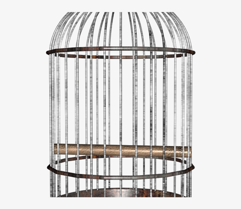 Bird Cage Png, transparent png download