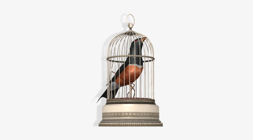 Antique Bird Cage - Bird In A Cage Png, transparent png download