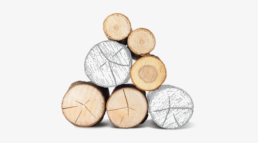 Burning Hardwood Logs Efficiently Is A Major Source - Sajam Namestaja Beograd 2017, transparent png download