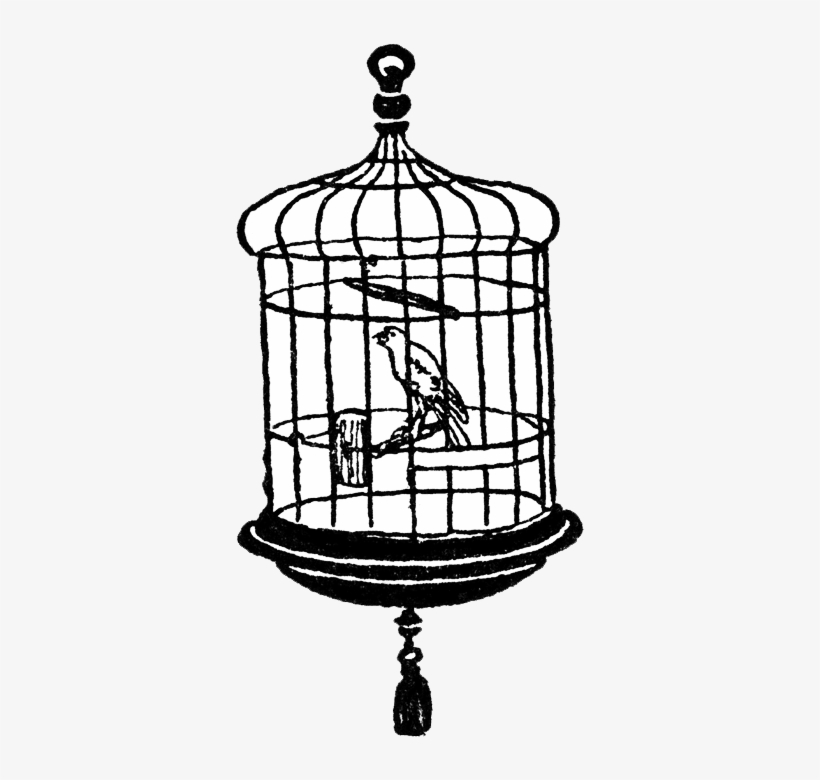 Bird Cage Transparent Clipart - Bird In Cage Transparent, transparent png download