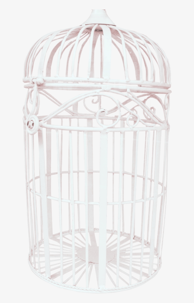 Free Png Bird Cage Png Images Transparent - Child, transparent png download