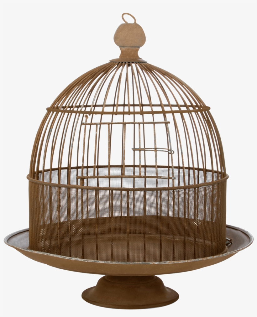 Wire Domed Birdcage - Cage, transparent png download