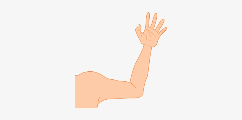 Robotic Arm Muscle Blog Document, transparent png download
