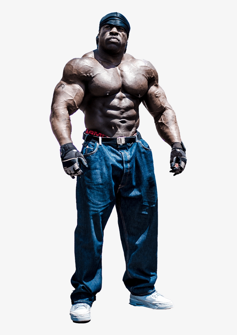 The Product Is Already In The Wishlist Browse Wishlist - Kali Muscle, transparent png download