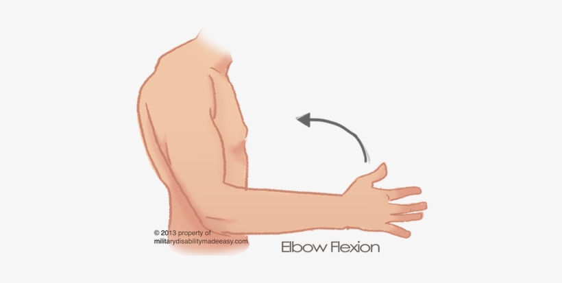 Shoulder Muscle 10 - Shoulder Arm, transparent png download
