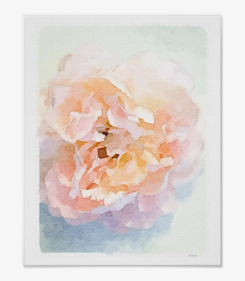 Watercolor Peonies Art Print - Rosa Pfingstrosen-leere Karte, transparent png download
