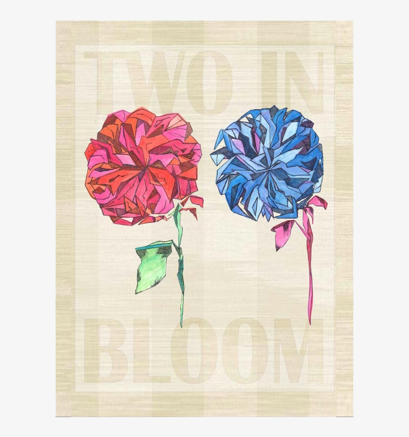 Common Peony, transparent png download