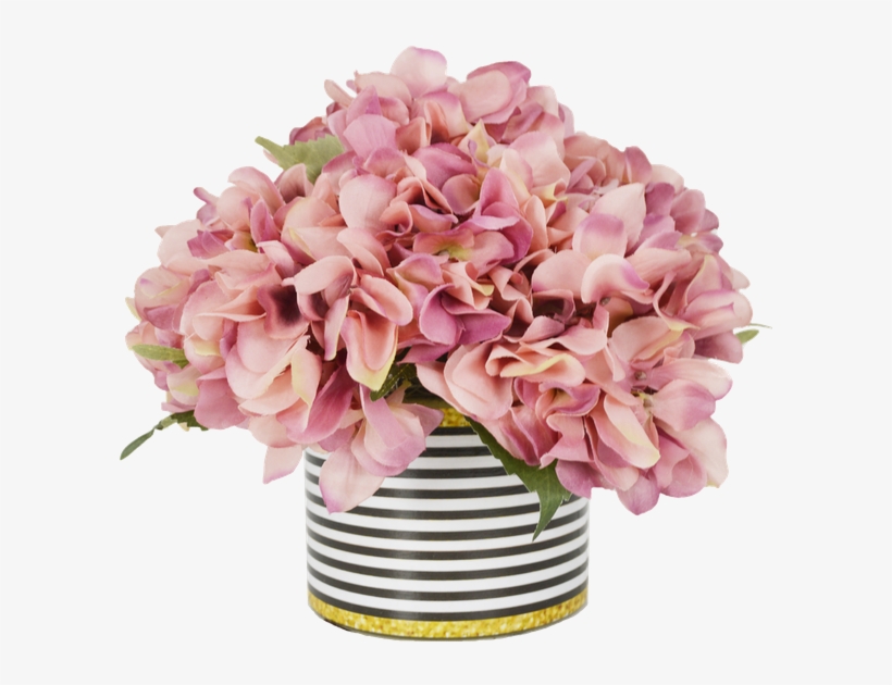 Hydrangea Png, transparent png download