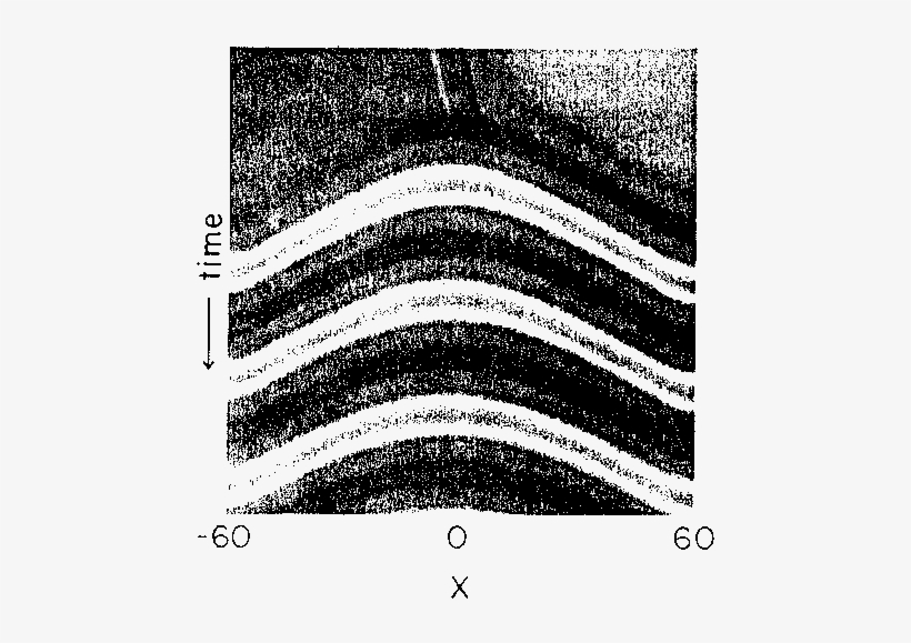 Temporal Evolution Of The Solution - Monochrome, transparent png download