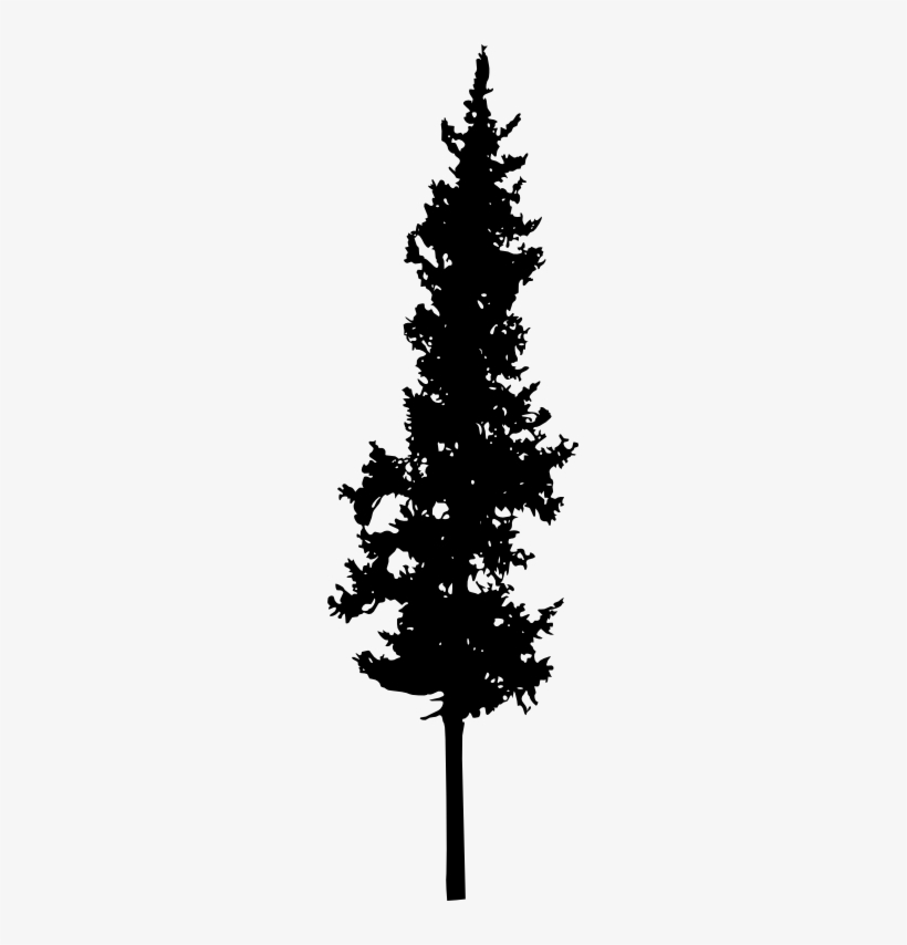 Download Spruce Branches Silhouette Setpine Conesdecor - Portable Network Graphics, transparent png download