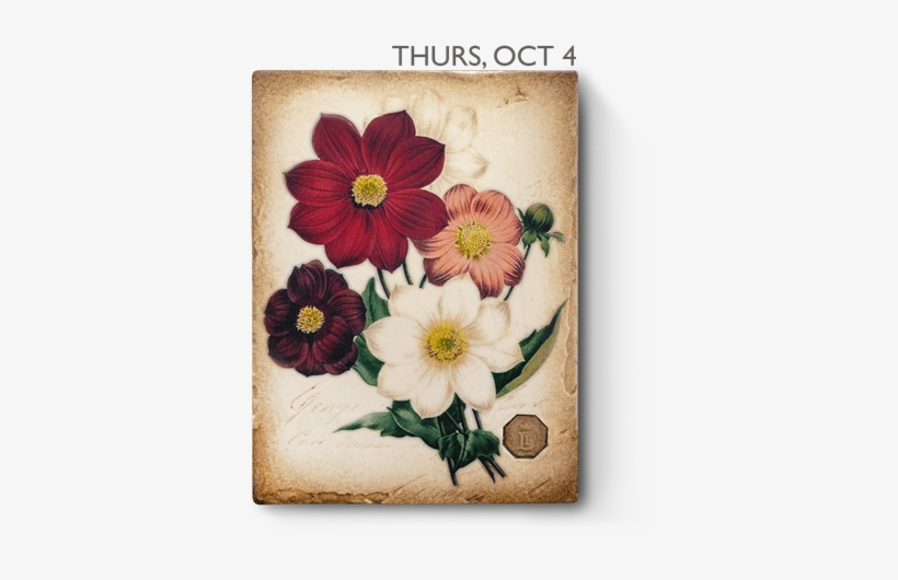 Le18-02 - Sid Dickens Inc, transparent png download