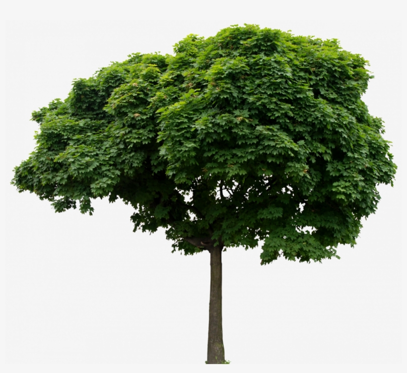 Enviar Por E-mailblogthis Compartilhar No Twittercompartilhar, transparent png download