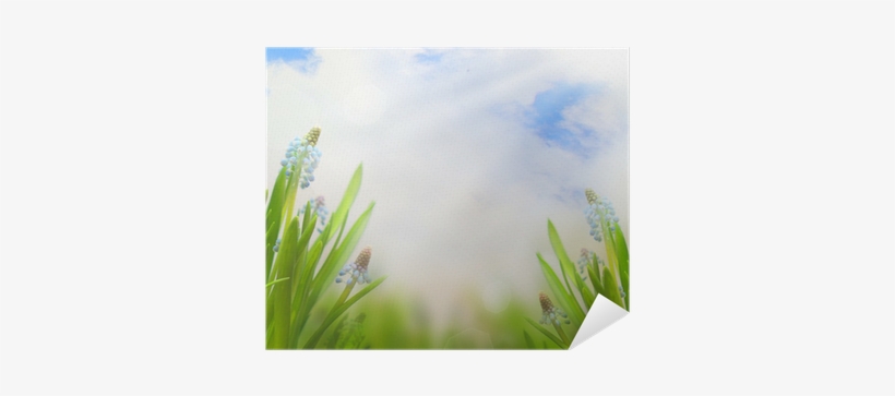 Spring Easter Background With Beautiful Blue Flowers - Spring, transparent png download