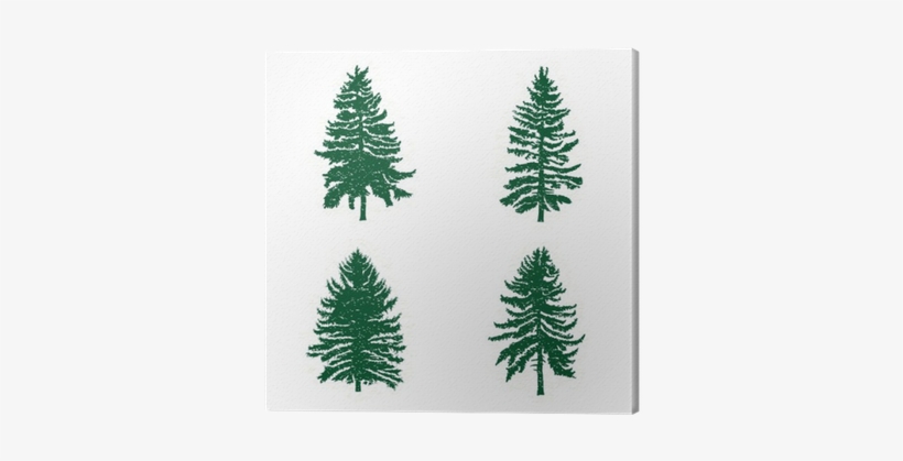 Set Of Different Silhouettes Of Green Pine Trees, Vector - Conifer Tree Silhouette, transparent png download