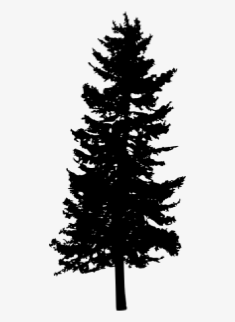 Free Png Pine Tree Silhouette Png Images Transparent - Portable Network Graphics, transparent png download