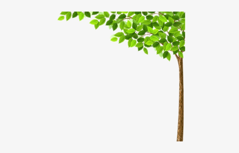 Arvore - Background For Power Point Presentation Related To, transparent png download