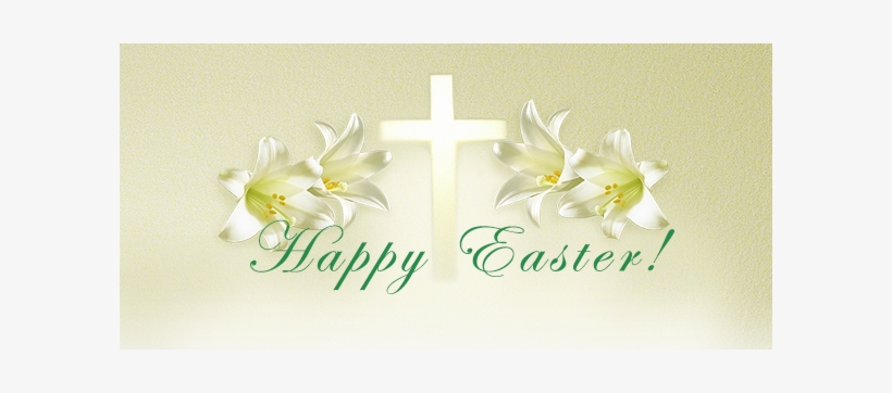 Pretoria I Ubf Easter - Essante Organics, transparent png download