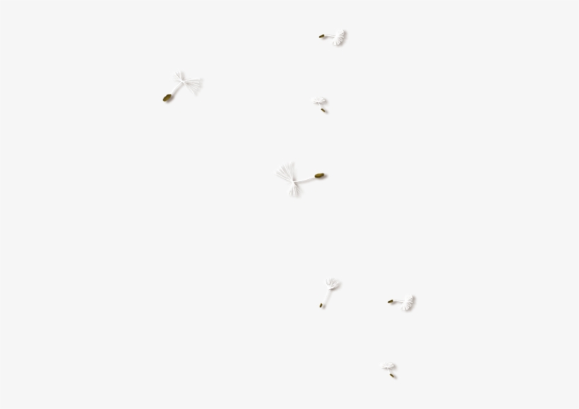 Photo From Album "nld An Eternal Story" On Yandex - Beyaz Sayfa Yazilar, transparent png download