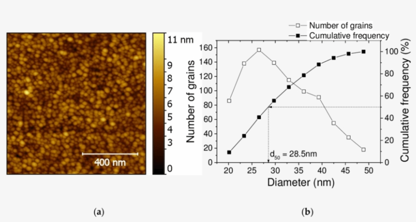 Afm Image Of A 50 Nm Thick Zno - Thin Film, transparent png download