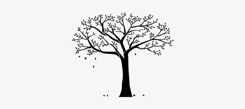 Cor Do Fundo - Wall Tree Art Stickers, transparent png download