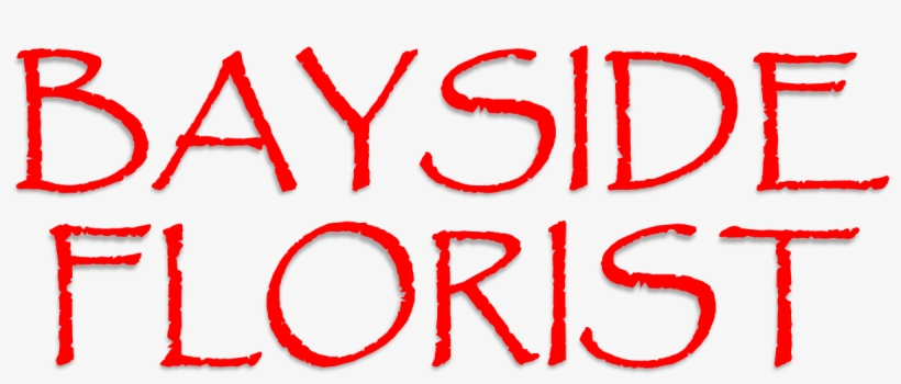 Tampa Bay Watch, transparent png download