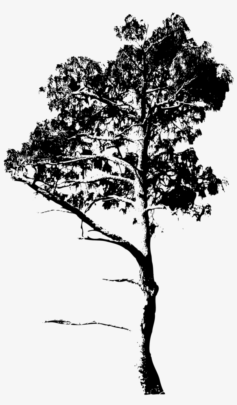 E Resolvi Compartilhar Com Vocês ^^ - Tree Brush, transparent png download